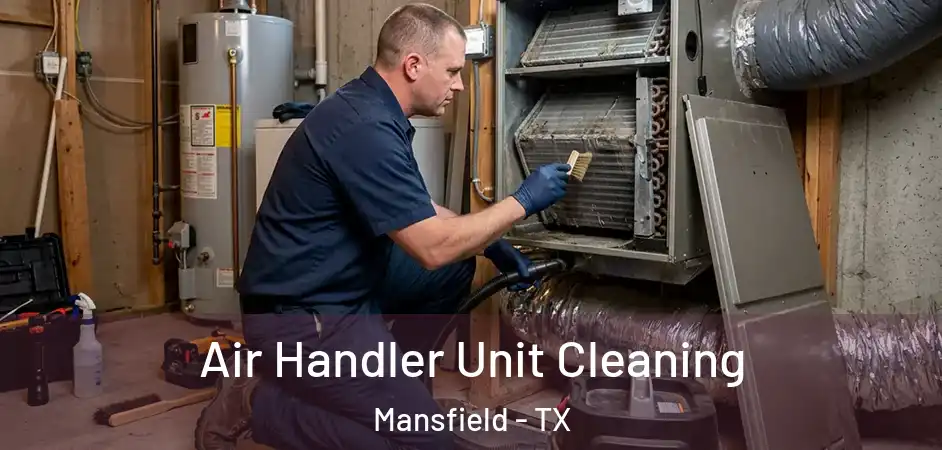 Air Handler Unit Cleaning Mansfield - TX