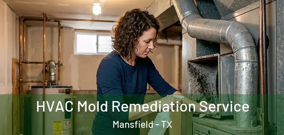 HVAC Mold Remediation Service Mansfield - TX